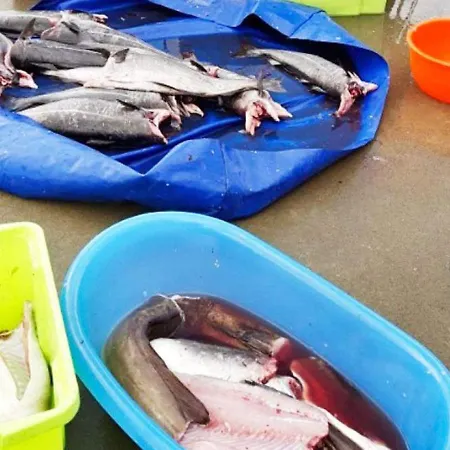 Feriehus 4 Person In Svelgen-by Traum Sorgulen